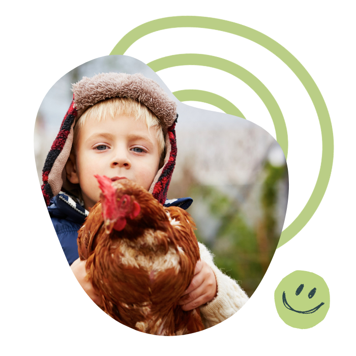 Tiere auf dem Bauernhof bei Lübeck erleben.