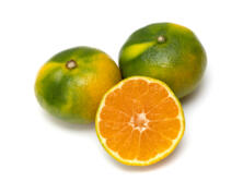 Satsuma Clementinen