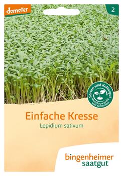 Kresse, einfache - Saatgut