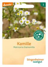 Kamille - Saatgut