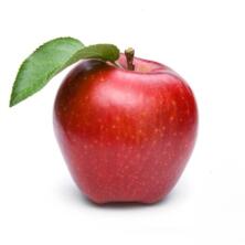 Apfel Santana (allergenarm) neue Ernte