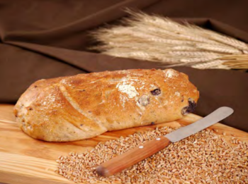 Ciabatta Olive