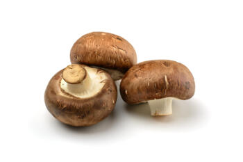 Champignons