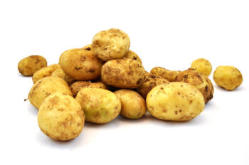 Kartoffel Belana 1 kg