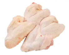 VB-H&auml;nchenfl&uuml;gel