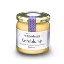 Honig Kornblume