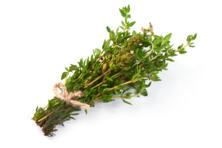 Thymian Bund (Sannmann)