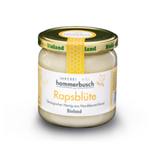 Honig Rapsbl&uuml;te