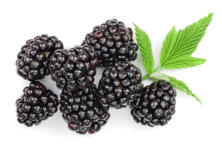 Brombeeren in der Schale