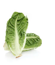 Mini-Romana Salat