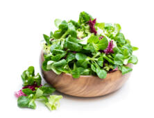 Winterschnittsalat 100g (Hof Medewege)