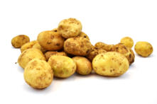 Kartoffel Belana 1 kg