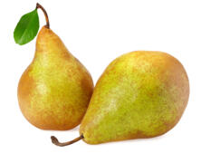 Birne Conference (klein)