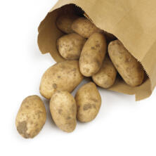 Kartoffel Linda 2,5 kg