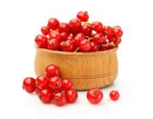 Johannisbeeren rot