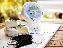 Schwarzbär mit Kümmel