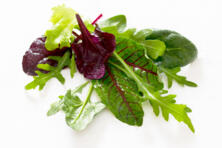 Wildsalat 100g